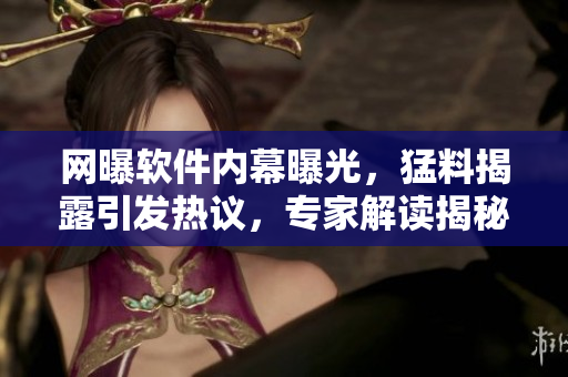 网曝软件内幕曝光，猛料揭露引发热议，专家解读揭秘软件背后真相