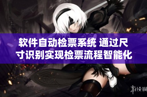 软件自动检票系统 通过尺寸识别实现检票流程智能化