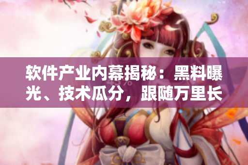 软件产业内幕揭秘：黑料曝光、技术瓜分，跟随万里长征探寻软件行业新动向