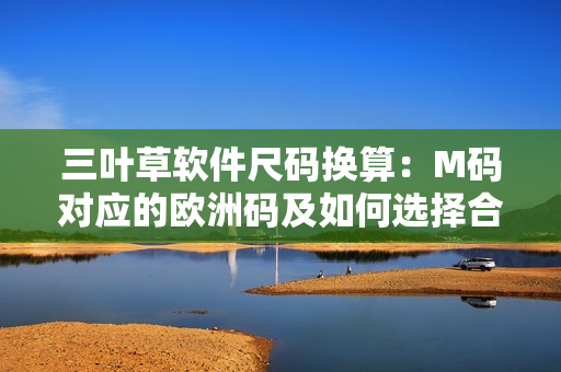 三叶草软件尺码换算：M码对应的欧洲码及如何选择合适的尺码