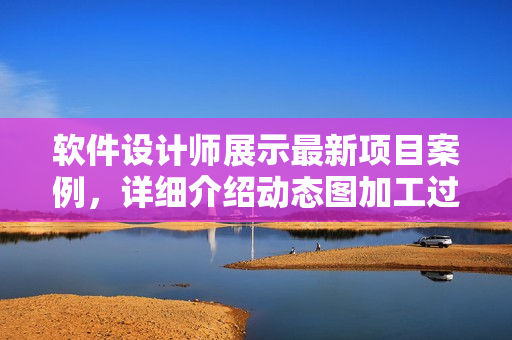软件设计师展示最新项目案例，详细介绍动态图加工过程