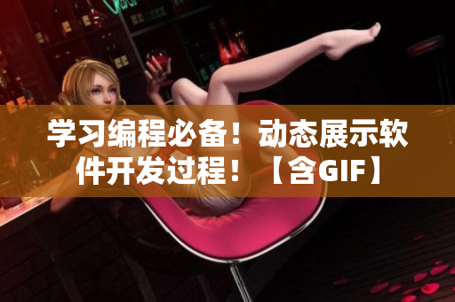 学习编程必备！动态展示软件开发过程！【含GIF】
