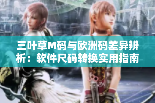 三叶草M码与欧洲码差异辨析：软件尺码转换实用指南