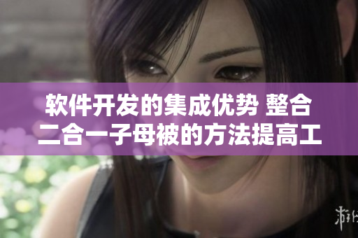 软件开发的集成优势 整合二合一子母被的方法提高工作效率、简化流程