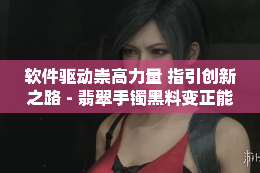 软件驱动崇高力量 指引创新之路 - 翡翠手镯黑料变正能量