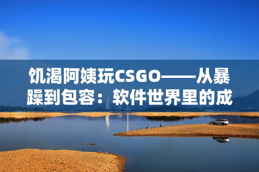 饥渴阿姨玩CSGO——从暴躁到包容：软件世界里的成长故事