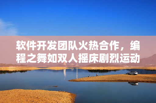 软件开发团队火热合作，编程之舞如双人摇床剧烈运动