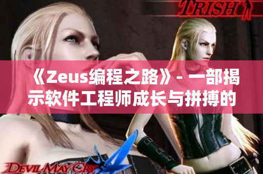 《Zeus编程之路》- 一部揭示软件工程师成长与拼搏的MV盛宴！