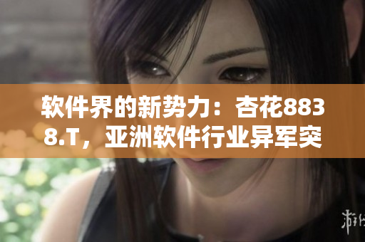 软件界的新势力：杏花8838.T，亚洲软件行业异军突起！