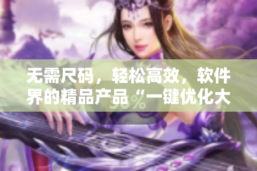 无需尺码，轻松高效，软件界的精品产品“一键优化大师”