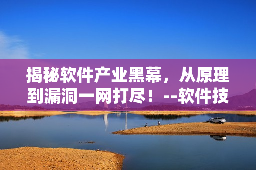 揭秘软件产业黑幕，从原理到漏洞一网打尽！--软件技术深度报道