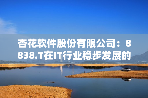 杏花软件股份有限公司：8838.T在IT行业稳步发展的秘密