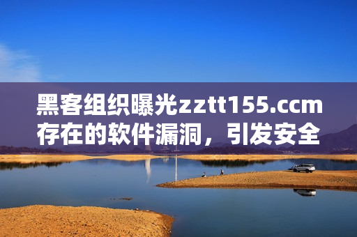 黑客组织曝光zztt155.ccm存在的软件漏洞，引发安全风险