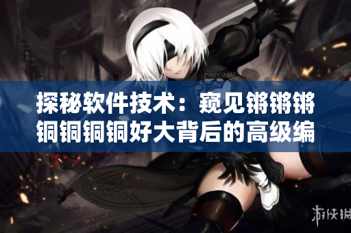 探秘软件技术：窥见锵锵锵铜铜铜铜好大背后的高级编程实践