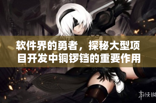软件界的勇者，探秘大型项目开发中铜锣铛的重要作用