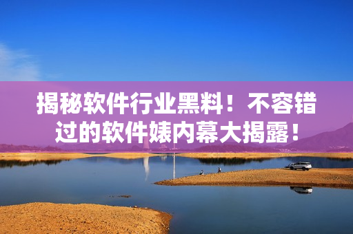 揭秘软件行业黑料！不容错过的软件婊内幕大揭露！
