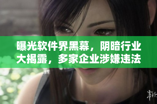曝光软件界黑幕，阴暗行业大揭露，多家企业涉嫌违法行为