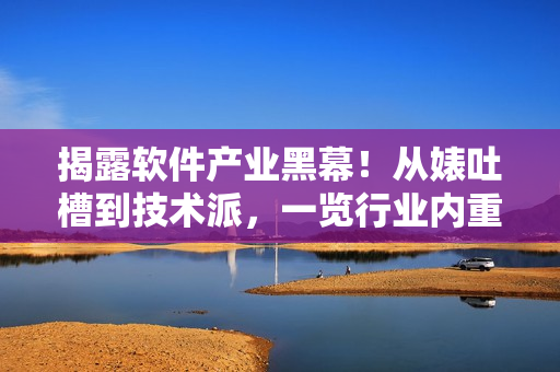 揭露软件产业黑幕！从婊吐槽到技术派，一览行业内重要黑料合集
