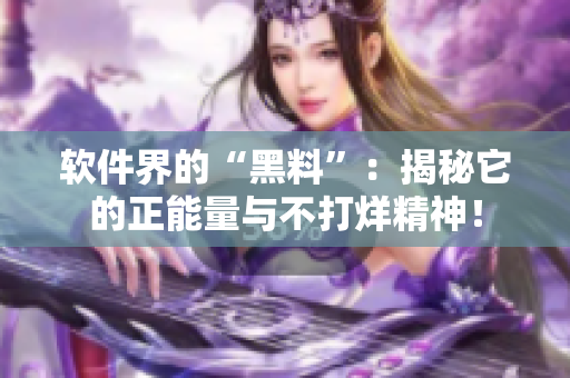 软件界的“黑料”：揭秘它的正能量与不打烊精神！