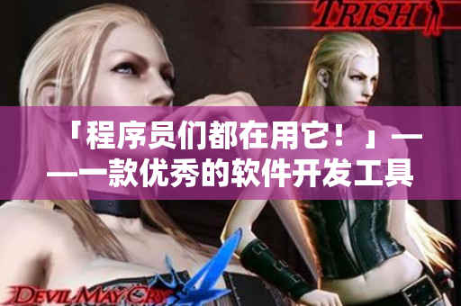 「程序员们都在用它！」——一款优秀的软件开发工具入门指南！