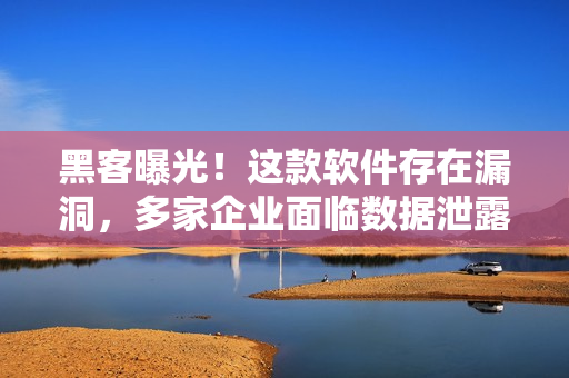 黑客曝光！这款软件存在漏洞，多家企业面临数据泄露风险！