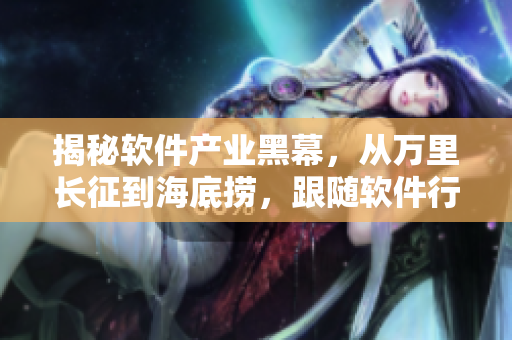 揭秘软件产业黑幕，从万里长征到海底捞，跟随软件行业反差婊深入探讨
