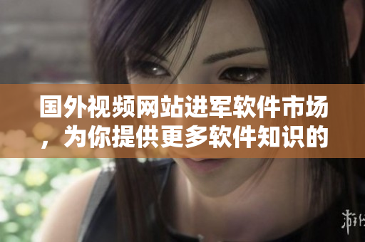 国外视频网站进军软件市场，为你提供更多软件知识的学习资源！