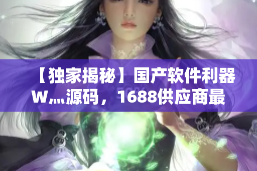 【独家揭秘】国产软件利器W灬源码，1688供应商最新评测