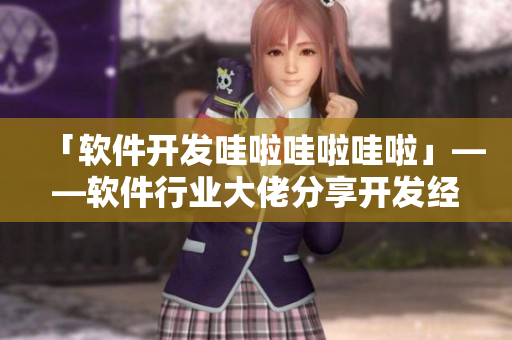 「软件开发哇啦哇啦哇啦」——软件行业大佬分享开发经验