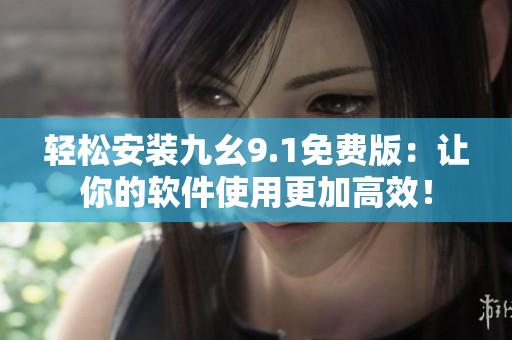 轻松安装九幺9.1免费版：让你的软件使用更加高效！