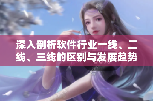 深入剖析软件行业一线、二线、三线的区别与发展趋势