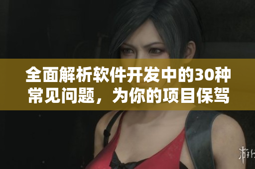 全面解析软件开发中的30种常见问题，为你的项目保驾护航