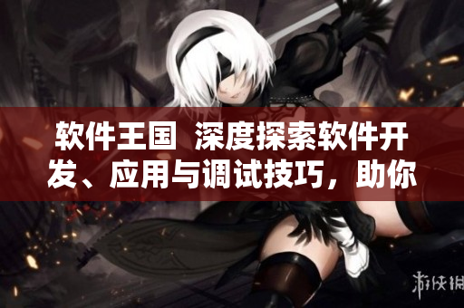 软件王国  深度探索软件开发、应用与调试技巧，助你成为顶尖软件编写者