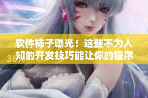 软件柿子曝光！这些不为人知的开发技巧能让你的程序更高效