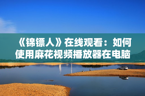《锦镖人》在线观看：如何使用麻花视频播放器在电脑或手机上观看？