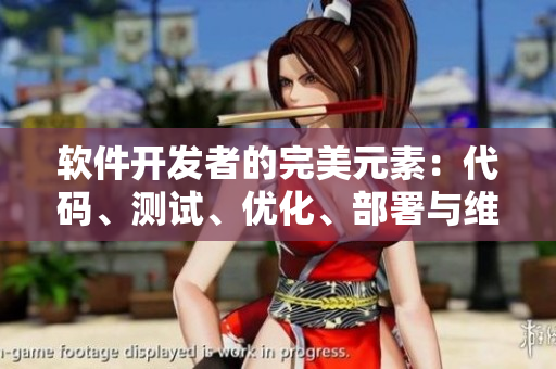 软件开发者的完美元素：代码、测试、优化、部署与维护