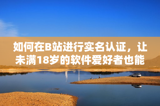 如何在B站进行实名认证，让未满18岁的软件爱好者也能畅玩各类软件？