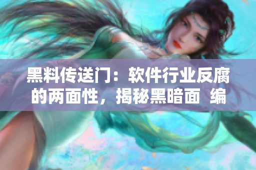 黑料传送门：软件行业反腐的两面性，揭秘黑暗面  编辑专访