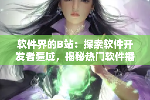 软件界的B站：探索软件开发者疆域，揭秘热门软件播放人数排行榜