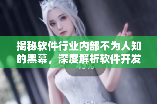 揭秘软件行业内部不为人知的黑幕，深度解析软件开发的那些事