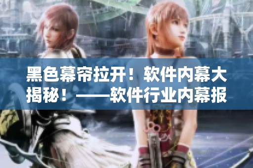 黑色幕帘拉开！软件内幕大揭秘！——软件行业内幕报道