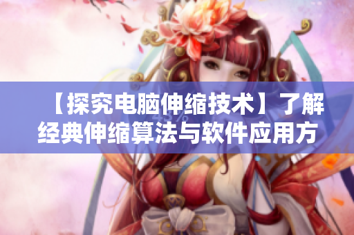 【探究电脑伸缩技术】了解经典伸缩算法与软件应用方案！