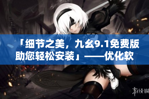 「细节之美，九幺9.1免费版助您轻松安装」——优化软件使用体验