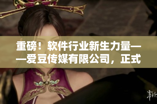 重磅！软件行业新生力量——爱豆传媒有限公司，正式成立于xxxx年