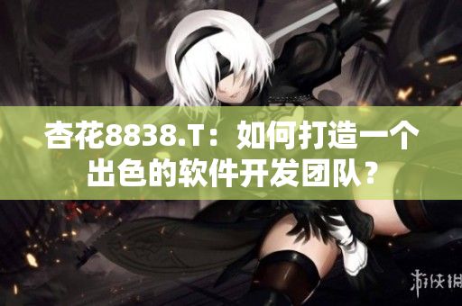 杏花8838.T：如何打造一个出色的软件开发团队？