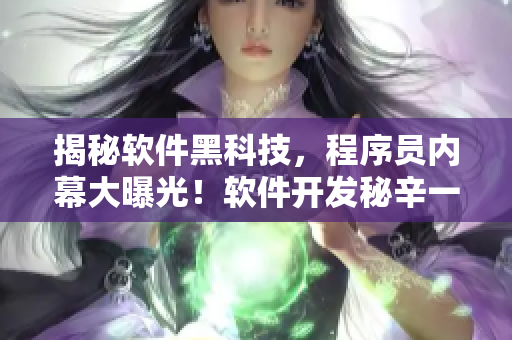 揭秘软件黑科技，程序员内幕大曝光！软件开发秘辛一网打尽！