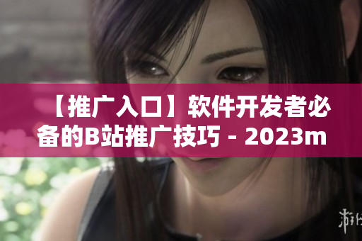 【推广入口】软件开发者必备的B站推广技巧 - 2023mmm