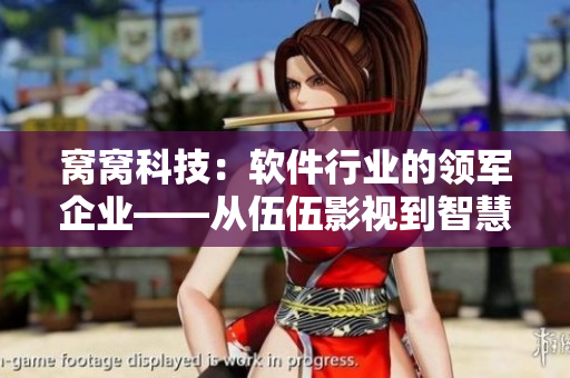 窝窝科技：软件行业的领军企业——从伍伍影视到智慧创新