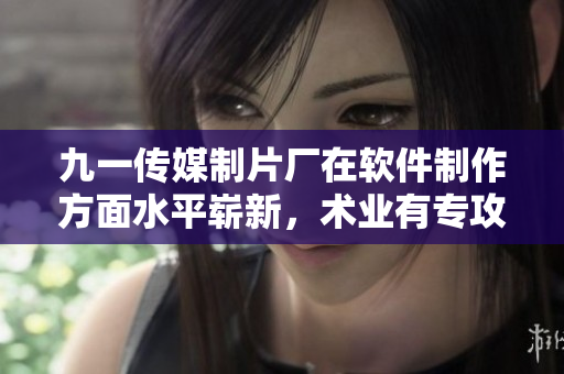 九一传媒制片厂在软件制作方面水平崭新，术业有专攻
