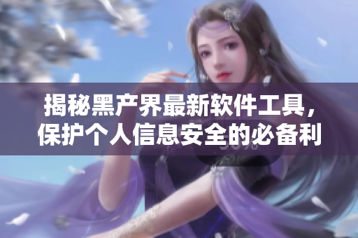揭秘黑产界最新软件工具，保护个人信息安全的必备利器！